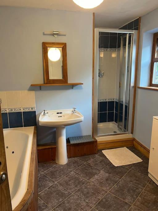 Bryn Rhedyn Cottage Cwm-y-glo Екстер'єр фото
