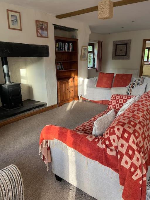 Bryn Rhedyn Cottage Cwm-y-glo Екстер'єр фото