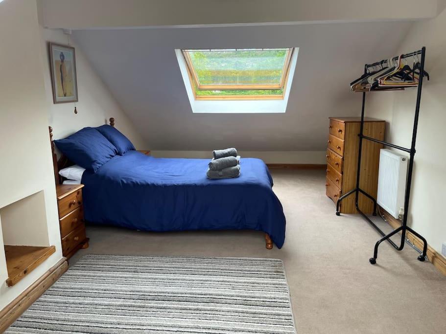 Bryn Rhedyn Cottage Cwm-y-glo Екстер'єр фото