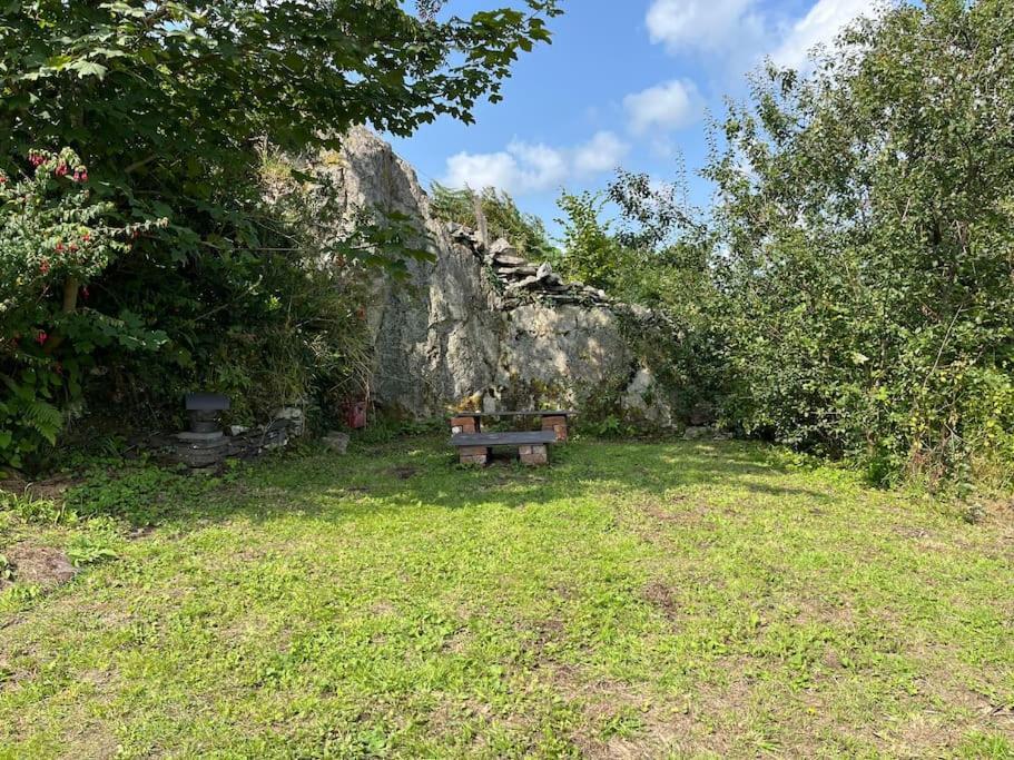 Bryn Rhedyn Cottage Cwm-y-glo Екстер'єр фото